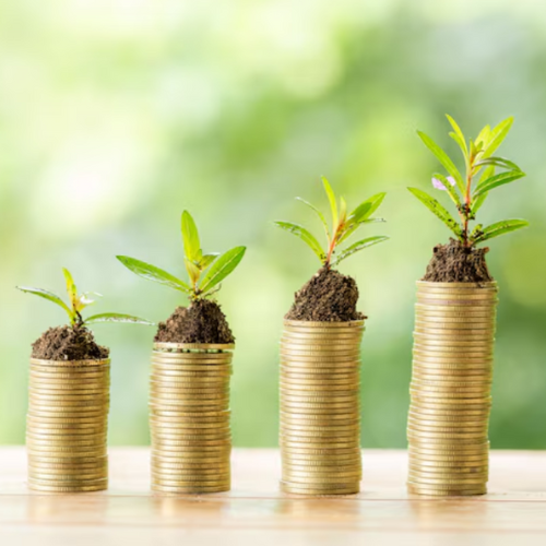 Investment / Wealth Management